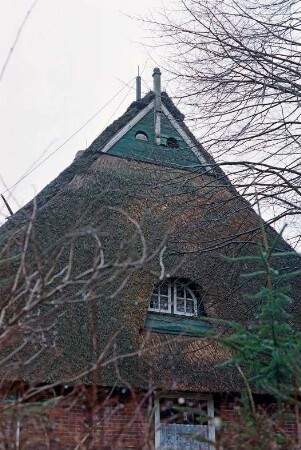 Dorfstraße 10: Schullandheim: traufständiges Fachwerkhaus mit Reetdach: Giebelseite Wohntrakt, Teilansicht: Krüppelwalm mit Fledermausgaube, oben Verbretterung, Eulenlöcher, Giebelpfahl: Blitzableiter