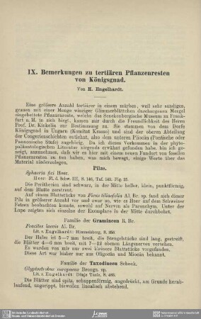 Bemerkungen zu tertiären Pflanzenresten von Königsgnad