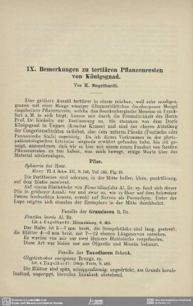 Bemerkungen zu tertiären Pflanzenresten von Königsgnad