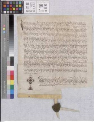 Rüsselsheim: Urteil, wodurch dem Kloster Altmünster das Gut zu Rüsselsheim zugesprochen wird