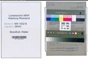 Entnazifizierung Walter Brandholt , geb. 23.08.1903 (Schachtmeister)