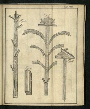 Tafel VIII