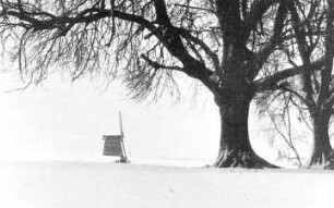 Leipzig-Rückmarsdorf. Blick zum Turmholländer, aus: Leipziger Land, 1912
