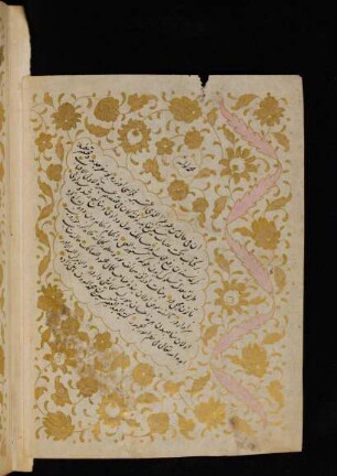 Buchschmuck: f. 1Av-5r