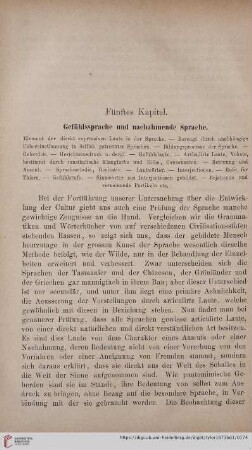 Fünftes Kapitel: Gefühlssprache und nachahmende Sprache
