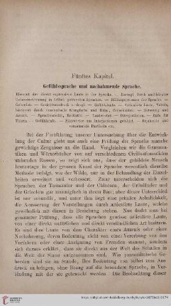 Fünftes Kapitel: Gefühlssprache und nachahmende Sprache