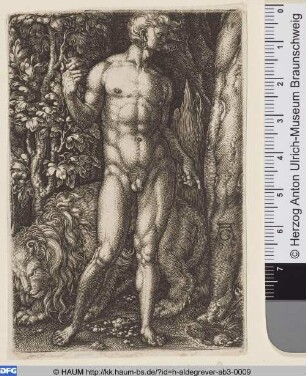 Adam mit einem Löwen