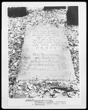Grabstein H. Rosenbusch (+1907)