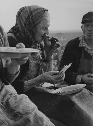 Archivfotografie "arbeit_wein_lese_on02"