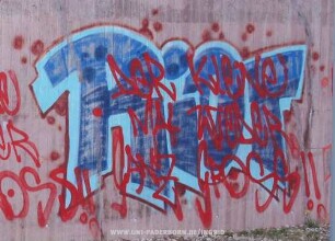 RiOT