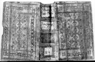 Legenden und Exempel - BSB Cgm 836