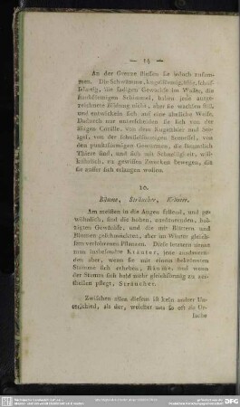 10. Bäume, Sträucher, Kräuter