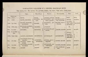 214-215, Table: Comparative Paradigm of a Neuter Dravidian Noun