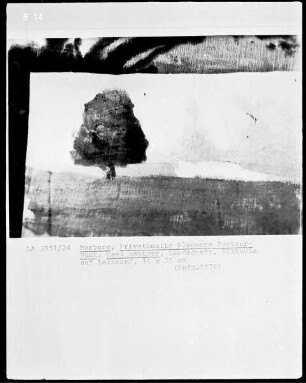 Ölstudie zu einer Landschaft mit einem Baum