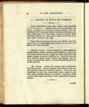 X. Caribaei ex Insula Scti. Vincentii. (Tab. X.)