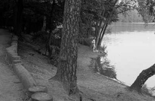 Berlin : Berlin, Grunewaldsee. Ansicht mit einsamem Badegast