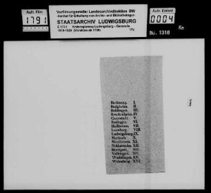 Wahl der ritterschaftlichen Abgeordneten des Neckarkreises für den Landtag 1819