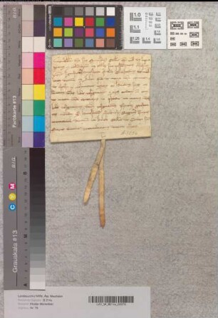 Bernhard von Lippe resigniert dem Bischof von Münster den von Everhard von Velleren resignierten Zehnten zu Belen, und bittet, ihn dem Kloster Marienfeld zu übertragen.