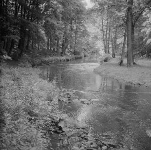 Seifersdorfer Tal