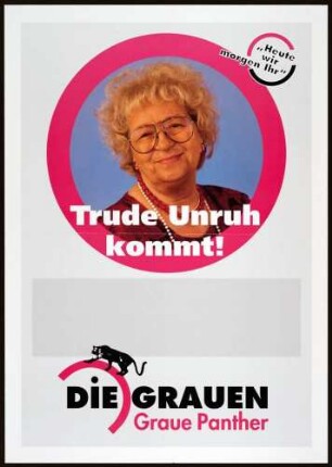 Die Grauen, Bundestagswahl 1998