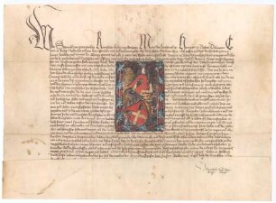 König Sigismund bestätigt den Ulmer Bürgern Johann, Walter und Konrad Ehinger sowie ihren Vettern und männlichen Erben das in der Urkunde in farbiger Zeichnung wiedergegebene Wappen. Außerdem erlaubt er ihnen, dieses Wappen noch mit einem roten Schwanenhals auf dem Helm zu zieren.