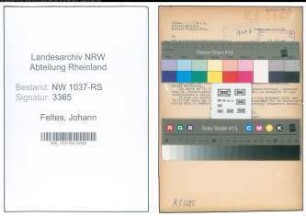 Entnazifizierung Johann Feltes , geb. 19.01.1912 (Polizeibeamter)