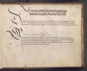 Johann Neudörffer d.Ä.: Ein grundtliche vnnd gemaine anweisung der fracturschrifft.