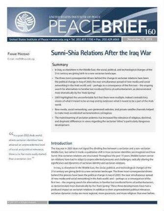 Sunni-Shia relations after the Iraq war
