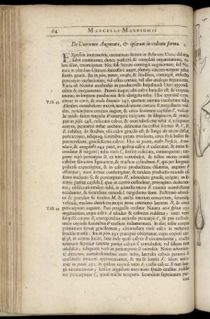 De Uterorum Augmento,...