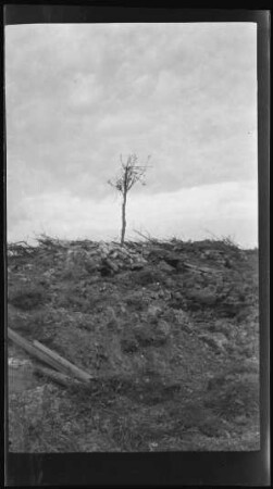 Chauffour-Wald (nordwestlich Douaumont (Dep. Meuse, Frankreich): Unterstände (wahrscheinlich zerstört) vor einem vereinzelten kahlen Baumstamm "Blick auf Douaumont"