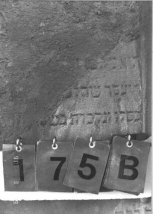 Grabstein 175 (Index: 99786068) Zustand: Vorderseite: obere Hälfte und Ränder abgeblättert Maße HxBxT: 163x94x27 cm Besonderheit: Doppelgrab (für Eheleute?): Grabstein 175B