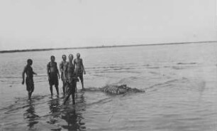 Mein größtes Krokodil bei Kor Atar [Reise nach dem Sudan, Band 2]