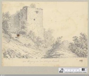 Am Eingang in das Schloss Urach : 14. Aug. - 9