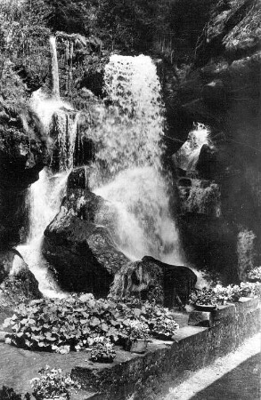 Kirnitzschtal-Lichtenhain. Lichtenhainer Wasserfall, Ansichtskarte
