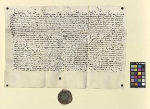 Burkhard von Erthal gelobt die Anerkennung der Schenkung des Kaspar Küchenmeister an das Kloster Fulda und verzichtet auf alle weiteren Rechtsmittel dagegen.