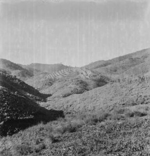 Berghänge : Hänge der Berge bei Lubero