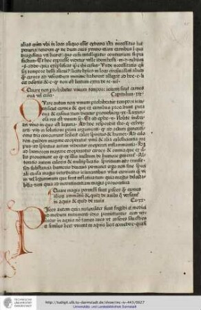 Capitulum xix.