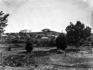 Planzung vor einer Siedlung : Blick auf eine Pflanzung vor einer Siedlung, vermutlich auf die Stadt Mwanza