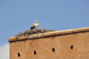 Storchennest : Auf der Stadtmauer am Tor Bad Agnaou in Marrakesch befindet sich ein Storchennest, aufgenommen am 04.11.2008