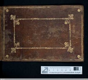 Stammbuch Johann Jakob von Patkul - Cod.Don.908