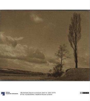 Bäume vor Horizont