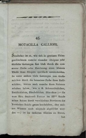 45. Motacilla Calliope.