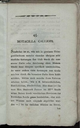 45. Motacilla Calliope.