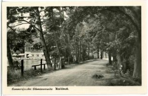 Schmannewitz. Waldteich
