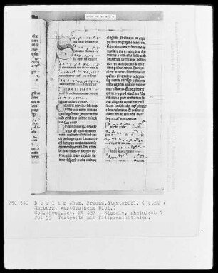 Missale — Initiale S, Folio 55recto