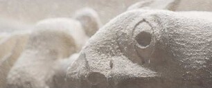 Coltan-Fieber: Connecting People