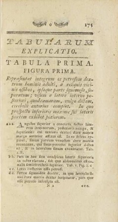 Tabularum Explicatio.