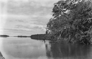 Rio Paraná : Insel und Uferwald im Rio Paraná.