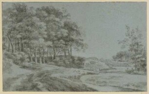 Wiesenbach am Waldrand