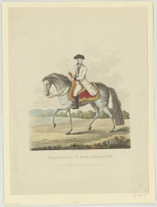 Bildnis des Franciscus II